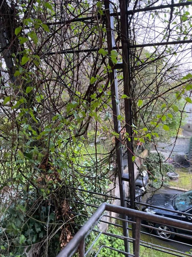 Schoene Wohnung In Zentraler Lage Im Ruhrgebiet Witten Exteriér fotografie
